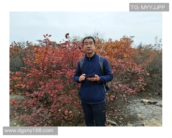 小书签足球球星背后的故事与成就解析，带你走近这些传奇人物的成长历程